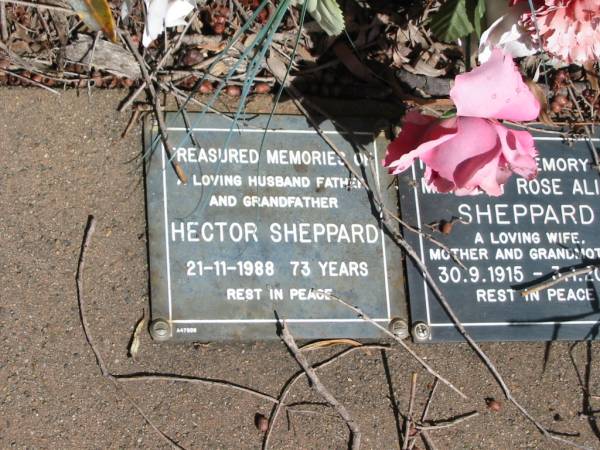 Hector SHEPPARD  | 21-11-1988  | 73 years  |   | St Margarets Anglican memorial garden, Sandgate, Brisbane  |   | 