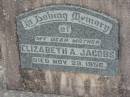 
Elizabeth A JACOBS
20 Nov 1956
Stone Quarry Cemetery, Jeebropilly, Ipswich
