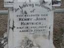 
Henry John HERTRICH
18 Dec 1904, aged 18
Stone Quarry Cemetery, Jeebropilly, Ipswich
