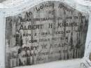 
Albert H KRAUSE
2 Nov 1945, aged 65
Mary W KRAUSE
5 Jul 1960, aged 75
Stone Quarry Cemetery, Jeebropilly, Ipswich
