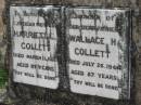
Harriett C COLLETT
11 Mar 1929, aged 67
Wallace H COLLETT
26 Jul 1944, aged 87
Stone Quarry Cemetery, Jeebropilly, Ipswich
