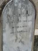 
Henry McGEARY
6 Mar 1893, aged 52
Stone Quarry Cemetery, Jeebropilly, Ipswich
