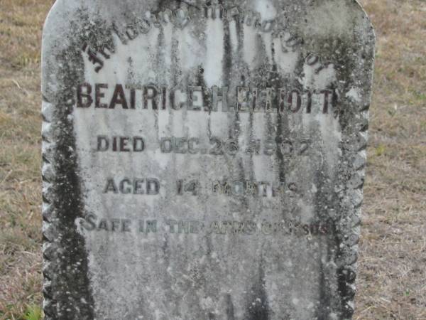 Beatrice H ELLIOTT  | 26 Dec 1902 aged 14 months  | Stone Quarry Cemetery, Jeebropilly, Ipswich  | 
