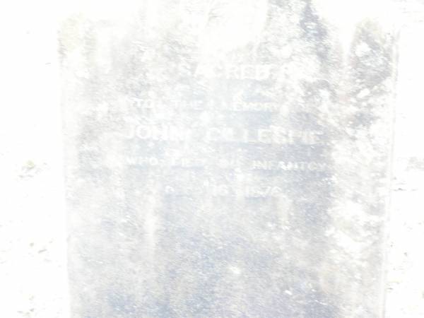 John GILLESPIE,  | died in infancy 16 Dec 1876;  | Swan Creek Anglican cemetery, Warwick Shire  | 