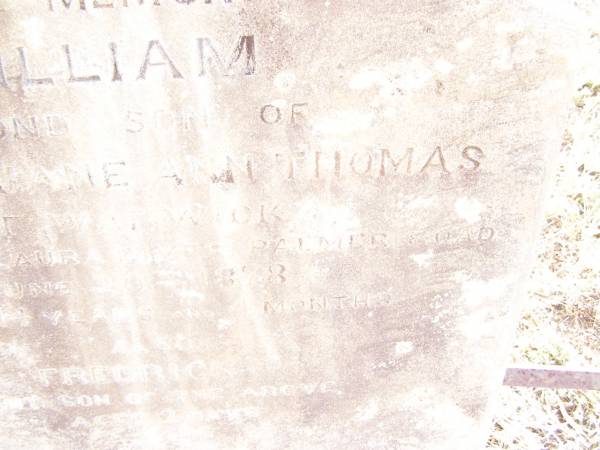 William,  | second son of John & Jane Ann THOMAS of Warwick,  | died at Laura River Palmer Road  | 20 June 1878  | aged 14 years 4 months;  | Frederick,  | infant son,  | aged 2 days;  | Swan Creek Anglican cemetery, Warwick Shire  | 