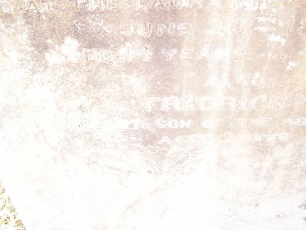 William,  | second son of John & Jane Ann THOMAS of Warwick,  | died at Laura River Palmer Road  | 20 June 1878  | aged 14 years 4 months;  | Frederick,  | infant son,  | aged 2 days;  | Swan Creek Anglican cemetery, Warwick Shire  | 