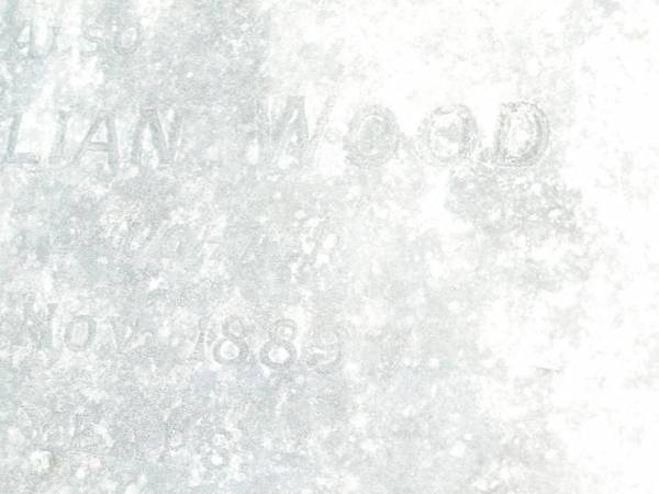 Richard WOOD,  | died 14 June 1887 aged 35 years;  | Amy Lillian WOOD,  | daughter  | died 4 Nov 1889 aged 2 years;  | Swan Creek Anglican cemetery, Warwick Shire  | 