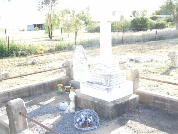 Charles,  | husband of Erving FREE,  | born 27 May 1860  | died 12 May 1911;  | Erving FREE-MITCHELL,  | mother,  | grandmother of Paul,  | died 21 Jan 1960 aged 88 years;  | Swan Creek Anglican cemetery, Warwick Shire  | 