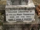 Alice Josephine, daughter of James & Mary THOMPSON, died 2 Feb 1923 aged 1 year 3 months; Thomas, son of James & Mary THOMPSON, died 12 Nov 1926 aged 9 years 3 months; James Edward THOMPSON, 5 Nov 1913 - 19 Sept 2000; Tallebudgera Catholic cemetery, City of Gold Coast 