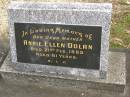 Annie Ellen DOLAN, mother, died 21 Feb 1985 aged 81 years; Tallebudgera Catholic cemetery, City of Gold Coast 