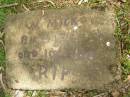 W.Mick BIRMINGHAM, died 10-6-66; Tallebudgera Catholic cemetery, City of Gold Coast 