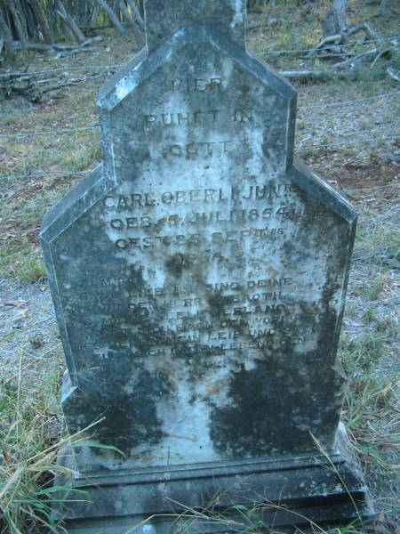 Carl OBERLI (JUNr)  | geb 5 Juli 1854, gest 25 Sep 1884  | Tallegalla Pioneer Catholic Cemetery  | 
