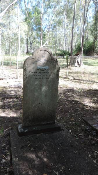 Edith Lilian CURTIS  | d: 29 Oct 1923, aged 28  | Tamborine Plunkett Road Cemetery (Cedar Creek)  |   | 