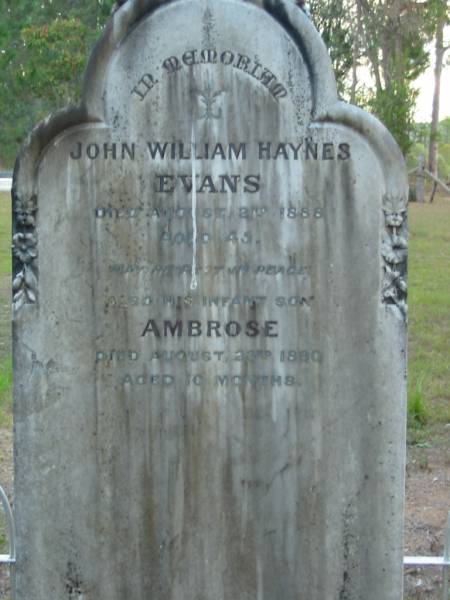 John William Haynes EVANS  | 2 Aug 1888  | aged 45  |   | infant son Ambrose  | 23 Aug 1880  | aged 10 months  |   | Tamborine Catholic Cemetery, Beaudesert  |   | 