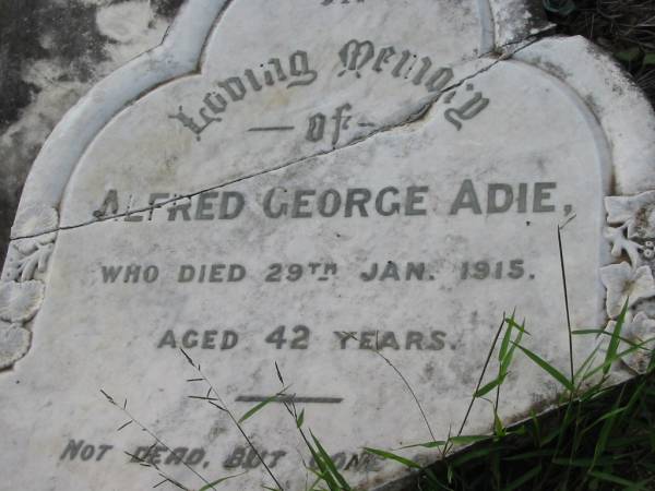 Alfred George ADIE  | 29 Jan 1915, aged 42  | Tamrookum All Saints church cemetery, Beaudesert  | 