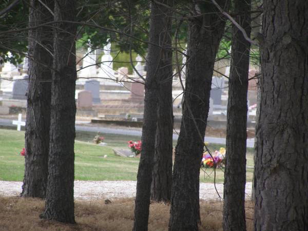 Tanunda? cemetery,  | Barossa Valley,  | South Australia  | 