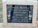 
Lindsay John BICHEL
2 Aug 1969 aged 16
Tarampa Baptist Cemetery, Esk Shire
