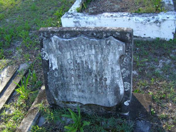 Gilbert,  | infant son of V. & A. EDMONDS,  | died 10 June 1929 aged 2 1/2 years;  | Tea Gardens cemetery, Great Lakes, New South Wales  | 
