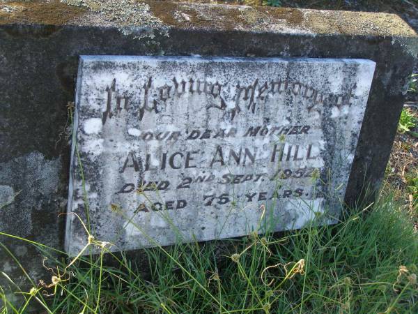Alice Ann HILL,  | mother,  | died 2 Sept 1952 aged 75 years;  | Tea Gardens cemetery, Great Lakes, New South Wales  | 