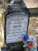 Coral, daughter of S. & M. PHILLIPS, died 7 Nov 1928 aged 11 months; Tea Gardens cemetery, Great Lakes, New South Wales 