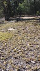 The Gums Cemetery