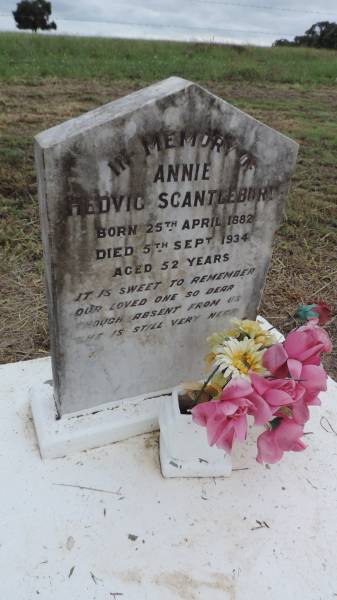 Annie Hedvig SCANTLEBURY  | B: 25 Apr 1882  | D: 5 Sep 1934, aged 52  | Theodore Pioneer / Old Theodore Cemetery  | 