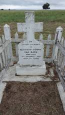 
Bernard Henry VAN BAEL
d: 18 Jan 1938, aged 25
Theodore Pioneer  Old Theodore Cemetery
