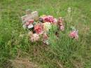 
Tiaro cemetery, Fraser Coast Region
