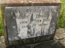 Annie DOUGLAS, died 4 Feb 1932 aged 74 years; Tiaro cemetery, Fraser Coast Region 