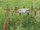 
William WALDOCK;
Tiaro cemetery, Fraser Coast Region
