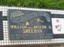 William SHEEHAN, died 21 Dec 1969 aged 97 years; Joseph D. SHEEHAN, died 1 Oct 1954 aged 79 years; Tiaro cemetery, Fraser Coast Region 