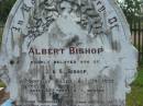 Albert BISHOP, son of J. & S. BISHOP, accidentally killed 19 July 1900 aged 35 years 5 months; John, husband of Sarah BISHOP, accidentally killed 17 May 1091 aged 67 years; Sarah, wife mother, died 18 Feb 1905 aged 70 years; Tiaro cemetery, Fraser Coast Region 