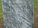 
Ann MOFFETT,
wife of A. MOFFETT,
died 30 Nov 1901 aged 67 years;
Andrew MOFFETT,
husband,
died 11 Oct 1903 aged 79 years;
Tiaro cemetery, Fraser Coast Region
