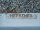 Leslie S. HERBENER, son, died 8 April 1915 aged 2 months; John G.D. HERBENER, son, died 15 Oct 1934 aged 23 years; Tiaro cemetery, Fraser Coast Region 