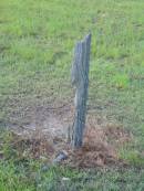 
Tiaro cemetery, Fraser Coast Region
