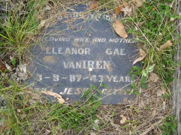 Eleanor Gae VANIREN [van IREN?],  | died 3-8-87 aged 43 years,  | wife mother;  | Tiaro cemetery, Fraser Coast Region  | 