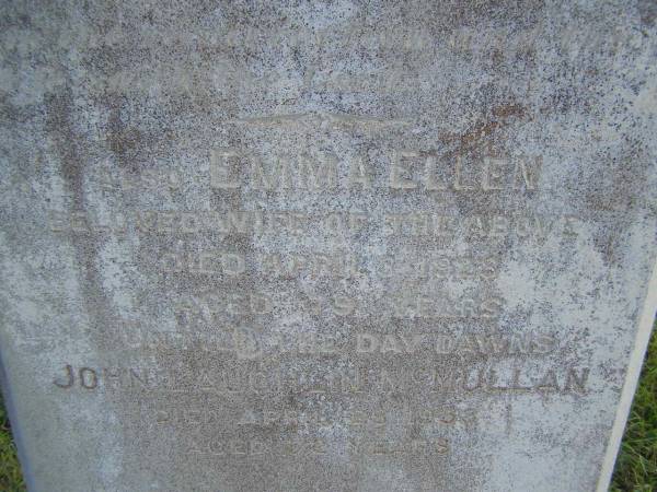 John MCMULLAN,  | died 15 Dec 1891 aged 45 years;  | Caroline,  | daughter,  | died 7 Jan 1891 aged 4 years 6 months;  | Emma Ellen,  | wife,  | died 3 April 1928 aged 79 years;  | John Laughlin  MCMULLAN,  | died 28 April 1953 aged 72 years;  | Tiaro cemetery, Fraser Coast Region  | 