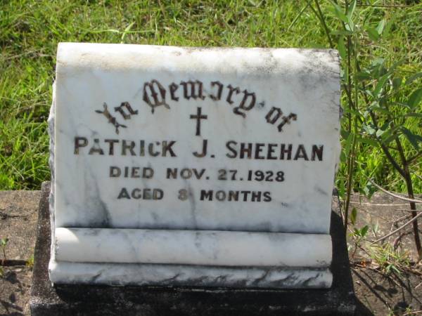 Patrick J. SHEEHAN,  | died 27 Nov 1928 aged 8 months;  | Tiaro cemetery, Fraser Coast Region  | 