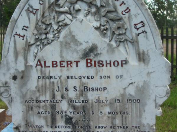 Albert BISHOP,  | son of J. & S. BISHOP,  | accidentally killed 19 July 1900 aged 35 years 5 months;  | John,  | husband of Sarah BISHOP,  | accidentally killed 17 May 1091 aged 67 years;  | Sarah,  | wife mother,  | died 18 Feb 1905 aged 70 years;  | Tiaro cemetery, Fraser Coast Region  | 