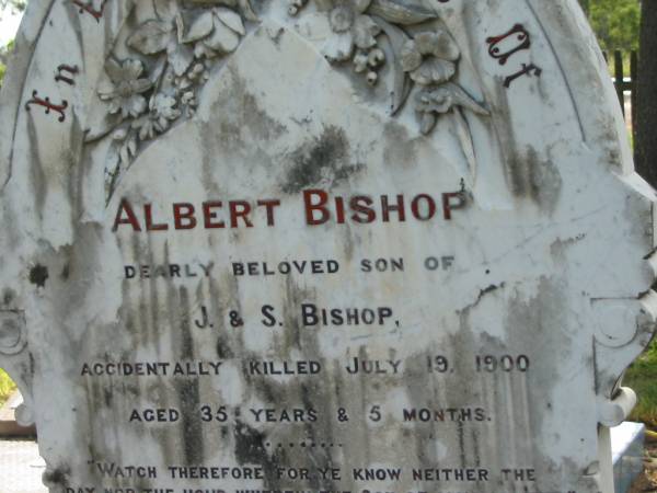 Albert BISHOP,  | son of J. & S. BISHOP,  | accidentally killed 19 July 1900 aged 35 years 5 months;  | John,  | husband of Sarah BISHOP,  | accidentally killed 17 May 1091 aged 67 years;  | Sarah,  | wife mother,  | died 18 Feb 1905 aged 70 years;  | Tiaro cemetery, Fraser Coast Region  | 