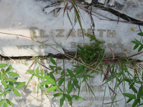 Elizabeth,  | wife of N. BERTELSEN,  | died Dec 1900? aged 32 years;  | Eliza Jane,  | wife of G.H. MCGREGOR,  | died New Zealand 2 Feb 1901 aged 33 years;  | daughters of Mary Jane OLSEN;  | Tiaro cemetery, Fraser Coast Region  | 