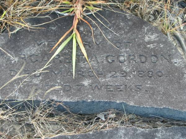 Margaret GORDON,  | died 29 March 1880 aged 7 weeks;  | Tiaro cemetery, Fraser Coast Region  | 
