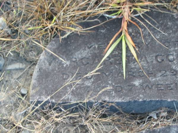 Margaret GORDON,  | died 29 March 1880 aged 7 weeks;  | Tiaro cemetery, Fraser Coast Region  | 