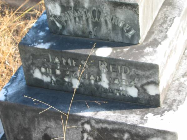 James REID,  | died 27 Jan 1884 aged 42 years;  | James,  | son,  | aged 4 months;  | William,  | son,  | aged 11 years;  | erected by wife Ellen REID;  | Tiaro cemetery, Fraser Coast Region  | 