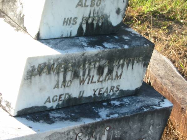 James REID,  | died 27 Jan 1884 aged 42 years;  | James,  | son,  | aged 4 months;  | William,  | son,  | aged 11 years;  | erected by wife Ellen REID;  | Tiaro cemetery, Fraser Coast Region  | 