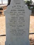 
Alfred ROBINSON died 14 Nov 1870 aged 50 years,
daughter Penelope JARVIS died 28 July 1898 aged 51 years,
wife Selena ROBINSON died 26 Dec 1913 aged 92 years,
Tingalpa Christ Church (Anglican) cemetery, Brisbane
