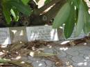 
Eva M.V. GUY died 21 Mar 1937 aged 36 years,
Tingalpa Christ Church (Anglican) cemetery, Brisbane

