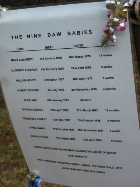 The nine DAW babies  | Name                Birth       Death        Age,  | Mary Elizabeth      3 Jan 1875  20 Mar 1875  11 weeks,  | Florence Eleanor    7 Feb 1876  21 Apr 1876   6 weeks,  | William Henry       2 Mar 1877  20 Apr 1877   7 weeks  | Albert Edward       8 Jul 1878   9 Nov 1878   4 months,  | Alice Ann           16 Jan 1881  still born,  | Thomas George       28 Apr 1882 27 Mar 1883  11 months,  | Frederick Ernest    13 May 1885 13 Oct 1885   5 months,  | Ethel Maud          11 Oct 1887 10 Nov 1887   4 weeks,  | Elspeth Rose        12 Mar 1889 23 Apr 1889   6 weeks,  |   | death cert shows Mary Elizabeths cause of death was Atrophy,  | Only surviving child was Robert James, the first child, who lived to marry and have 3 sons,  | Tingalpa Christ Church (Anglican) cemetery, Brisbane  |   | 