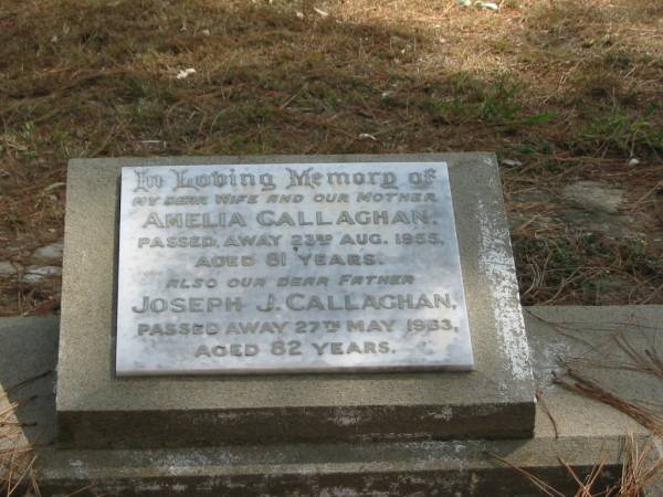 Amelia CALLAGHAN died 23 Aug 1955 aged 81 years,  | Joseph J. CALLAGHAN died 27 May 1963 aged 82 years,  | Tingalpa Christ Church (Anglican) cemetery, Brisbane  |   | 