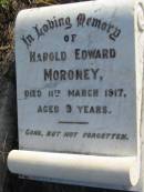 
Harold Edward MORONEY
11 Mar 1917 aged 9
Toogoolawah Cemetery, Esk shire
